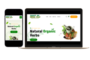 Building All Galaxy All Herbal Website