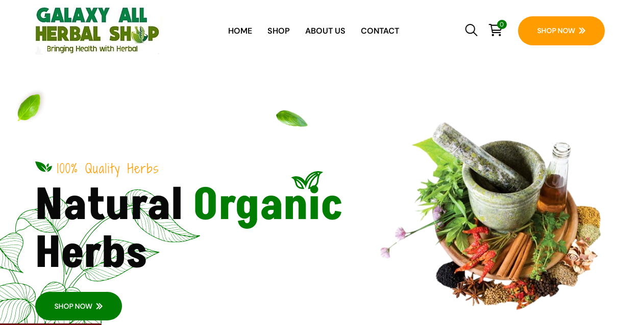 From Concept to Launch: Building the Galaxy All Herbal Website